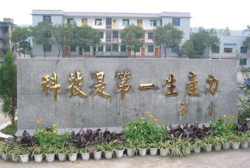 ���e����¡�r�I�����Ŀ