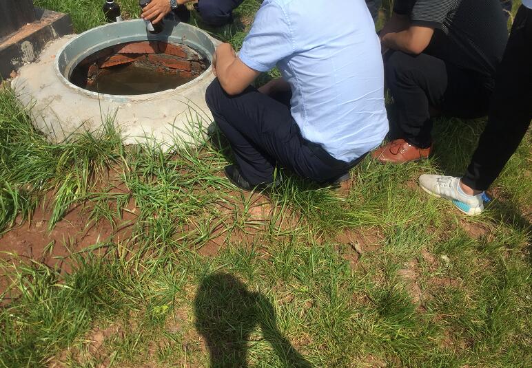 �ߘǌ� �����ι�ˮ���ɿ�����